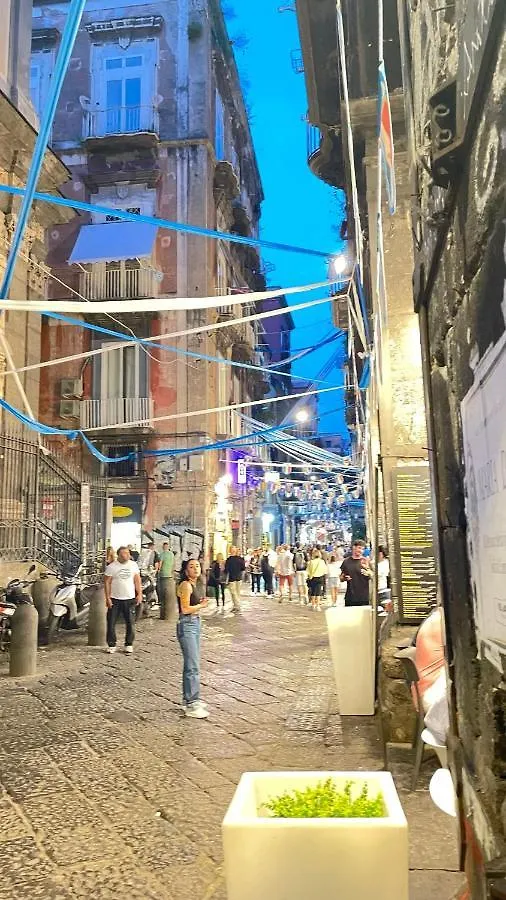 Il Basso Di Santa Sofia Naples Holiday home